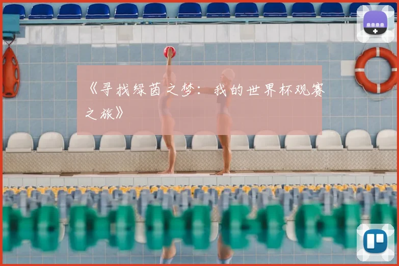 《寻找绿茵之梦：我的世界杯观赛之旅》