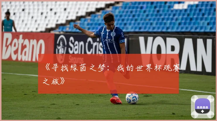 《寻找绿茵之梦：我的世界杯观赛之旅》
