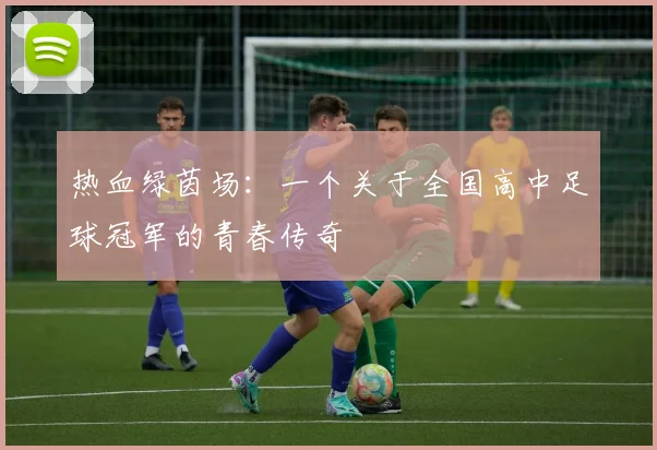 热血绿茵场：一个关于全国高中足球冠军的青春传奇